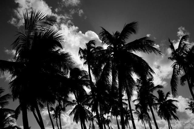 dominican_republic_180.jpg