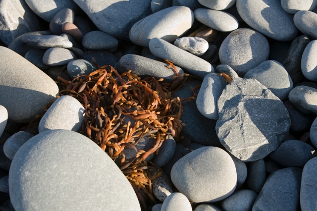 eastern_canada_beach_sand_15.jpg