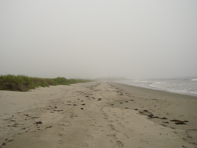 eastern_canada_beach_sand_4.JPG