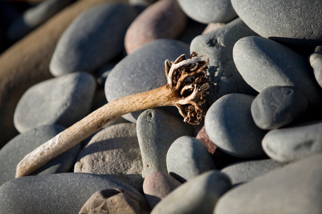 eastern_canada_beach_sand_7.jpg