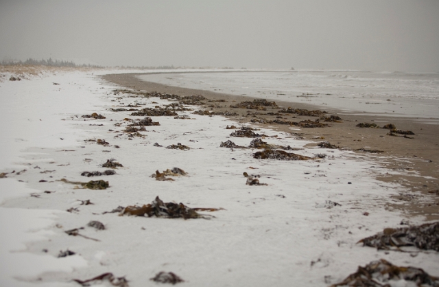 eastern_canada_beach_sand_9.jpg