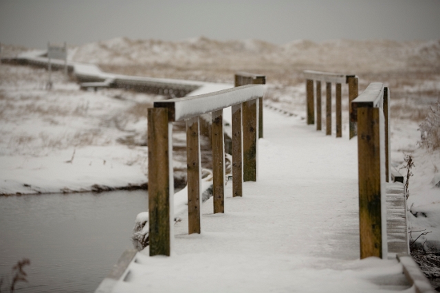 eastern_canada_boardwalk_18.jpg