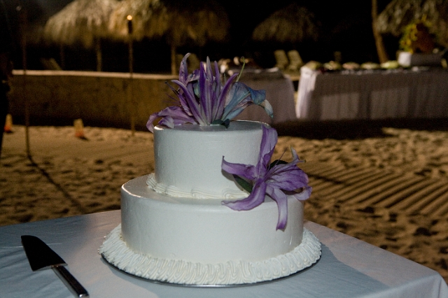 dominican_republic_wedding_reception_candid_philandrenae_217.jpg