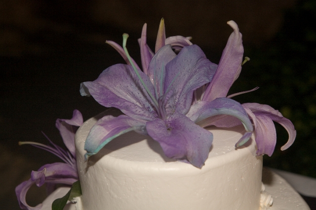 dominican_republic_wedding_reception_candid_philandrenae_237.jpg