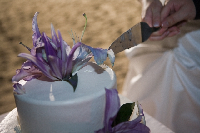 dominican_republic_wedding_reception_candid_philandrenae_91.jpg