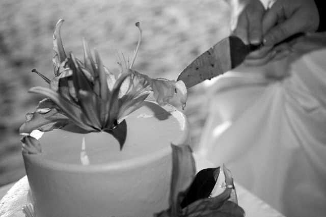 dominican_republic_wedding_reception_candid_philandrenae_92.jpg