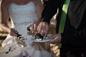 dominican_republic_wedding_reception_candid_philandrenae_102